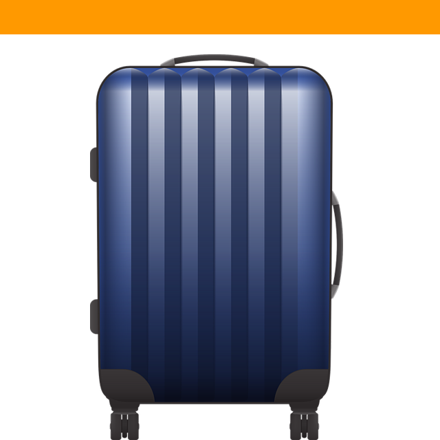Luggage Forward