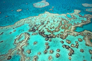 Great Barrier Reef