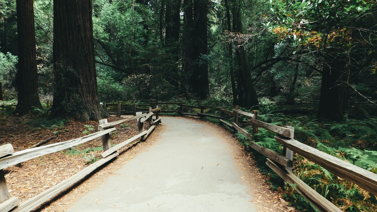 Muir Woods